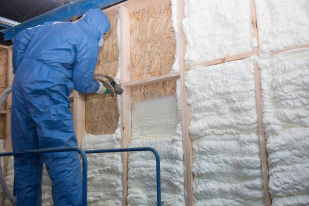 Professional Insulation Removal & Installation in Woodland, CA